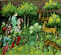 Medieval forest