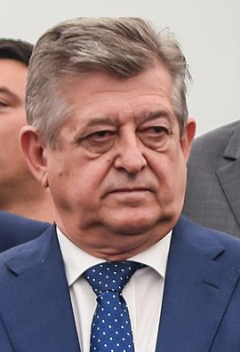 Mićo Mićić (cropped).jpg