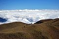 Mount Pulag, Kabayan, Philippines (Unsplash)