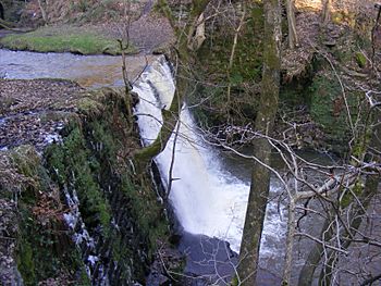 Naden Brook.jpg