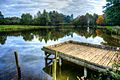 Normanby Hall fishing pond