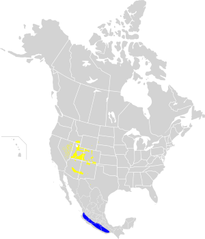 Oreothlypis virginiae map.svg