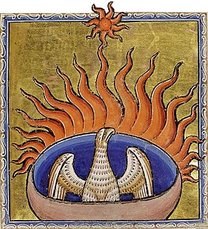 Phoenix detail from Aberdeen Bestiary