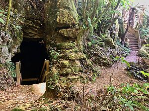 Piripiri cave entrance