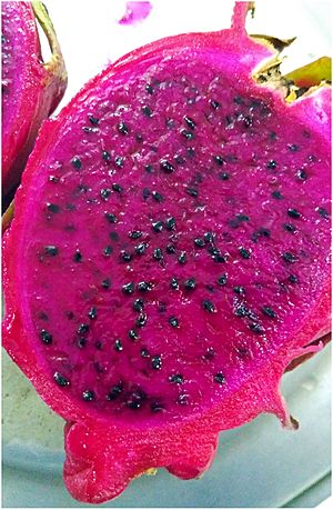 Pitaya Fruit