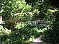 Pomona Natural Bridge in 2016