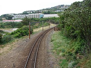 Raroa railway station 03