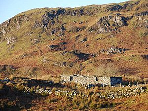 Ruined sheiling - geograph.org.uk - 1094461