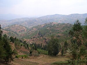 Rwanda Gitarama landscape