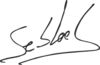 Sébastien Loeb Transparent Signature.png