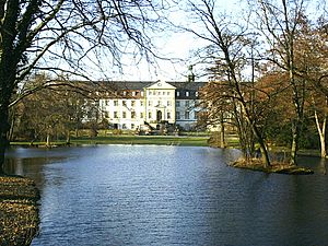 Schloss Ringelheim