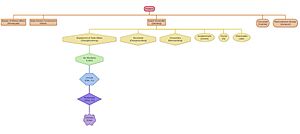 Song government structure