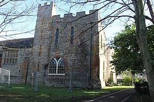 Taunton Castle2