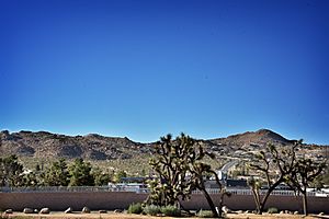 Yucca Valley Hwy 247