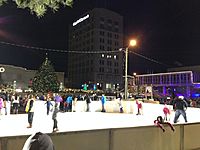 Alex Winter Fête Ice Rink