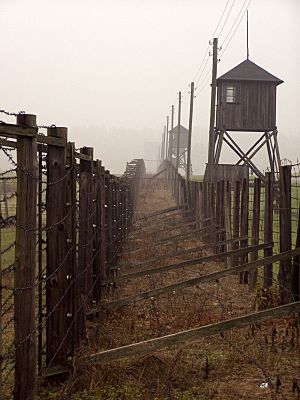 Alians PL KL Majdanek Lublin,10 10 2008,PA100059