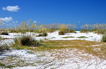 Anna Maria island.jpg