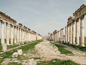 Apamea 02