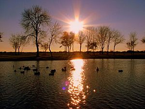 Arthurstoreyduckpond