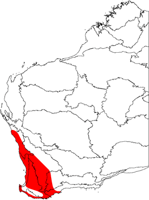 Banksia sessilis map