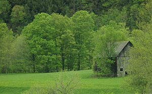 Barn in tunbridge vt