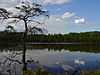 BemidjiStatePark-HiddenLake.jpg