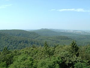 Blick-über-den-Teutoburger-Wald1