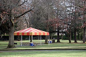 Blue covered picnic