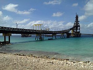 Bonaire Salt Pier