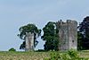 Burnchurch Castle ruins.jpg