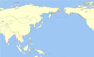 Calidris pygmaea distribution.svg