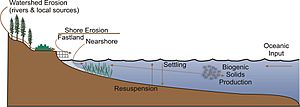 Chesapeake Bay TSS sources