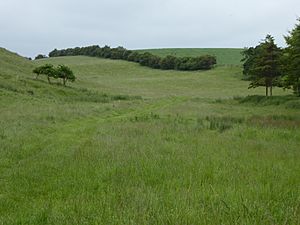 Cockthorpe Common, Stiffkey 2.jpg