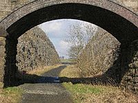 ColdeatonCuttingOnTheTissingtonTrail(JohnDarch)Feb2006