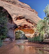 Coyote Natural Bridge, UT