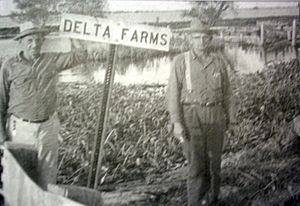 Delta Farms sign