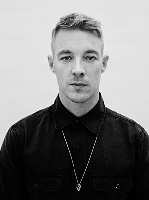 Diplo 2014 Press Photo (cropped).jpg