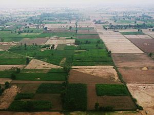 Faisalabad countryside edit