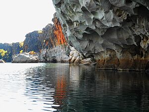 Fitzroy River proposed national park