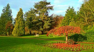 Gardens of Nonsuch Mansion