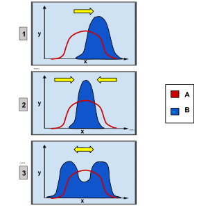 Genetic Distribution