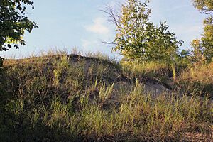 Gfp-wisconsin-whitefish-dunes-a-dune