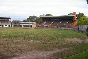 Glenferrieoval