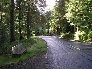 Glenpark Road - geograph.org.uk - 1503127