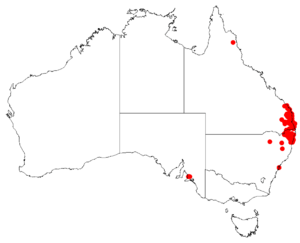 Hakea florulentaDistMap53.png