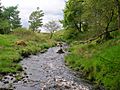 Hareshawmuirwater