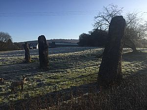 Harold's Stones