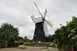 Holgate Windmill (8578)