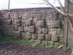 Kitchen garden's wall