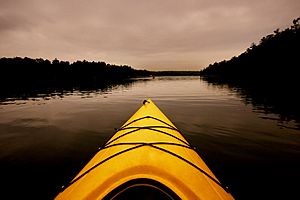 Lake Ganoga from a Kayak